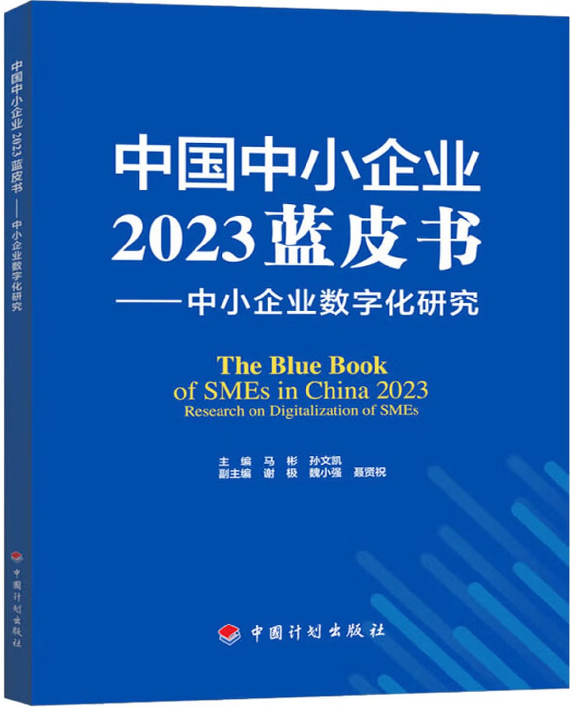 中国中小企业2023蓝皮书：中小企业数字化研究.png