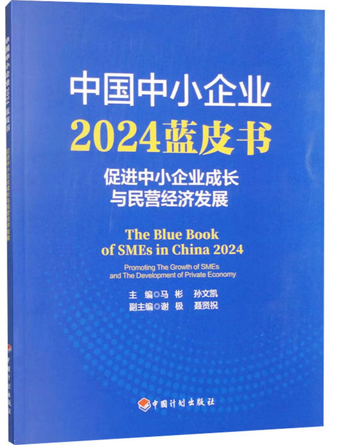 中国中小企业2024蓝皮书：促进中小企业成长与民营经济发展.png